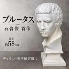 石膏像 ブルータス 胸像 デッサン用 - メルカリ