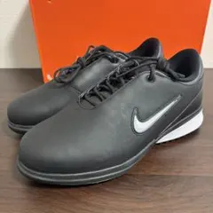 NIKE ゴルフシューズ ゴアテックス 25.5cm 新品未使用品 Yahoo!オークション -25.5cm(シューズ（男性用）)の落札相場・落札価格