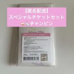 StrayKids スペシャルチケットセット チャンビン