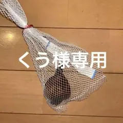 コルチカム　アルボプレナム② こちらは専用出品です。