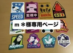m ＊ 様専用ページ
