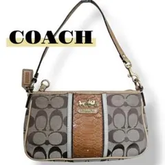 COACH☆アクセサリー ポーチ シグネチャー キャンバス パイソン Y-02