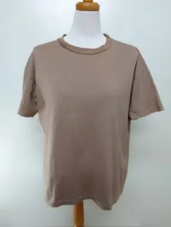 アントゲージ　ベージュ 半袖Tシャツ　レディース　綿100%　日本製　Fサイズ
