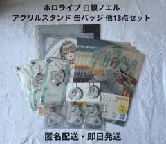 一番くじ ホロライブ アクスタ 缶バッジ 白銀ノエル 13点セット