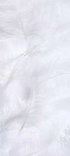 2026年最新】TFW49の人気アイテム - メルカリ