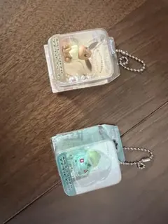 ポケモン ポケプラブリスターマスコットチャーム　イーブイ　フシギダネ　2点セット