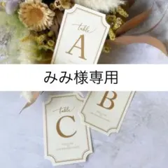 みみ様専用｜3/19迄発｜テーブルナンバーE-2