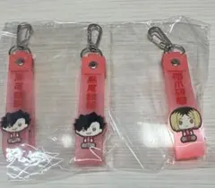 黒尾鉄朗 孤爪研磨 ラバーキーホルダー まとめ売り ハイキュー!! 音駒