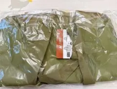 Item thumbnail for item 1edb4933-5ff6-4e2a-8d7e-a4e50f8bcb92