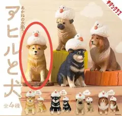 Item thumbnail for item f7fdd646-27e8-4074-b542-f0a02d3081b0