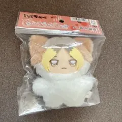 ハイキュー!! ちみけもますこっと　孤爪研磨