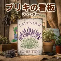 Item thumbnail for item f598b7c2-63f0-4dc8-b21e-88dc42d0cd9e