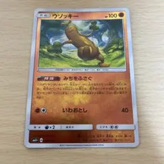 ポケモン ウソッキー みちをふさぐ ミラー エクストラ