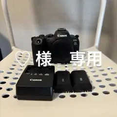 Canon EOSR6MarkII 箱付き　美品 中古】Canon キヤノン EOS R6 Mark II ミラーレス一眼カメラ 元