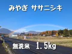 生産農家直売 みやぎ ササニシキ 無洗米 1.5kgのサムネイル