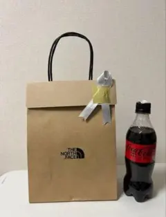 （急ぎの場合＋100円）ショップ袋 紙袋 ノースフェイス ショッパー