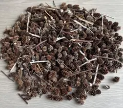 ハンドメイド花材　リース