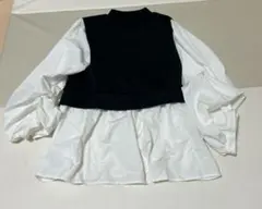 Item thumbnail for item 2722b053-f87f-43bf-805e-a48b319a6a8b