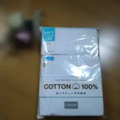 Item thumbnail for item a7663169-e2c2-471a-a63e-df863cf19afe