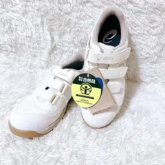 Item thumbnail for item 304c99e2-2f20-440b-9f0a-0e52a882d798