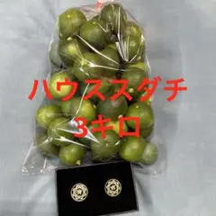 ハウススダチ 家庭用 10キロ - メルカリ