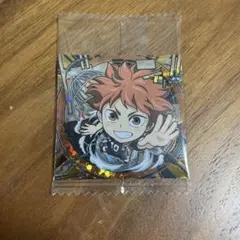 にふぉるめーしょん 劇場版ハイキュー!! ゴミ捨て場の決戦 日向翔陽＋おまけあり