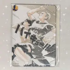 ハイキュー展 FINAL マグネットステッカーコレクション 全種セット ハイキュー！！展 FINAL マグネットステッカーコレクション 日向