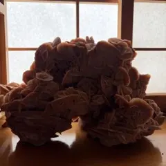 k*u様 【最新作】1200段式カタパルト（水晶入り）4.4mmメス-オス 約4