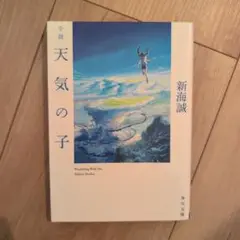 小説 天気の子