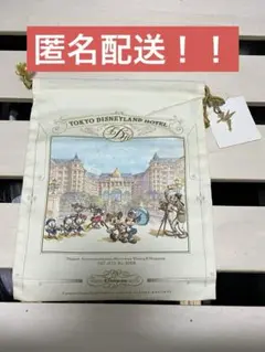 東京ディズニーリゾート限定　巾着　タグ付き新品未使用　きんちゃく　TDR