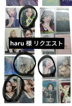 haru 様 リクエスト