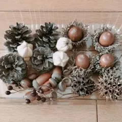 d 松ぼっくり　どんぐり　秋の詰め合わせ