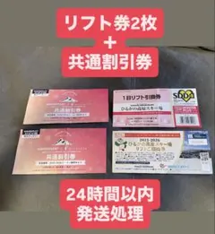 C ひだ流葉スキー場 1日リフト引換券 - メルカリ