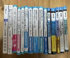 小説まとめ売り 15冊