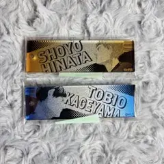 ハイキュー グラデーションアクリルキーホルダー アクキー 影山飛雄 日向翔陽