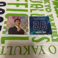 ヤクルト　はたらく人応燕　プレイヤーズホロシール　 山野太一のサムネイル