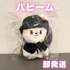 スンミン SKZOO COSTUME MAGNET PLUSH KEYRING