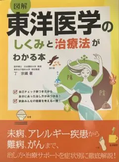 東洋医学のしくみと治療法かわかる本　丁宗鐵