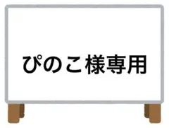 ぴのこ様 リクエスト 3点 まとめ商品