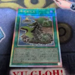 遊戯王 環境適応力 プリズマティックシークレットレア　プリシク