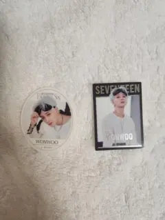 SEVENTEEN ウォヌ ウエハースステッカー