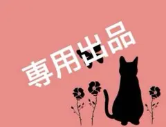 専用出品