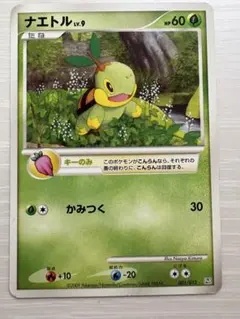 ナエトル PROMO PPPプロモーションカード 001/DP-PPP ナエトル PROMO PPPプロモーションカード 001/DP-PPP - メルカリ