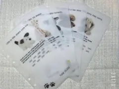 【バインダー貯金】韓国 貯金リフィル savingリフィル 家計管理 貯金