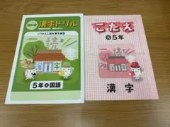 漢字ドリル 5年 国語 こたえ セット