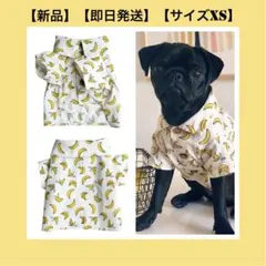 Item thumbnail for item 789c58f7-c9f3-4cb7-afcc-964b960f4996