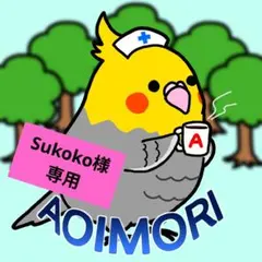 sukoko☆衣類検討中の方プロフ必読様 リクエスト 2点 まとめ商品