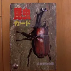 Item thumbnail for item acf62044-f65f-40bd-893e-ffef20df0a86