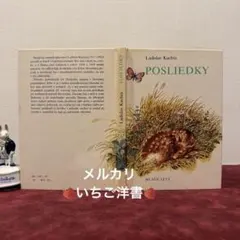 macoA098 ドイツ アンティーク 洋書 素敵なエンボス加工の装丁 maco様専用A099 ドイツ アンティーク 洋書 素敵なエンボス加工の装丁