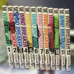 ウィンドブレイカー1〜12巻セット